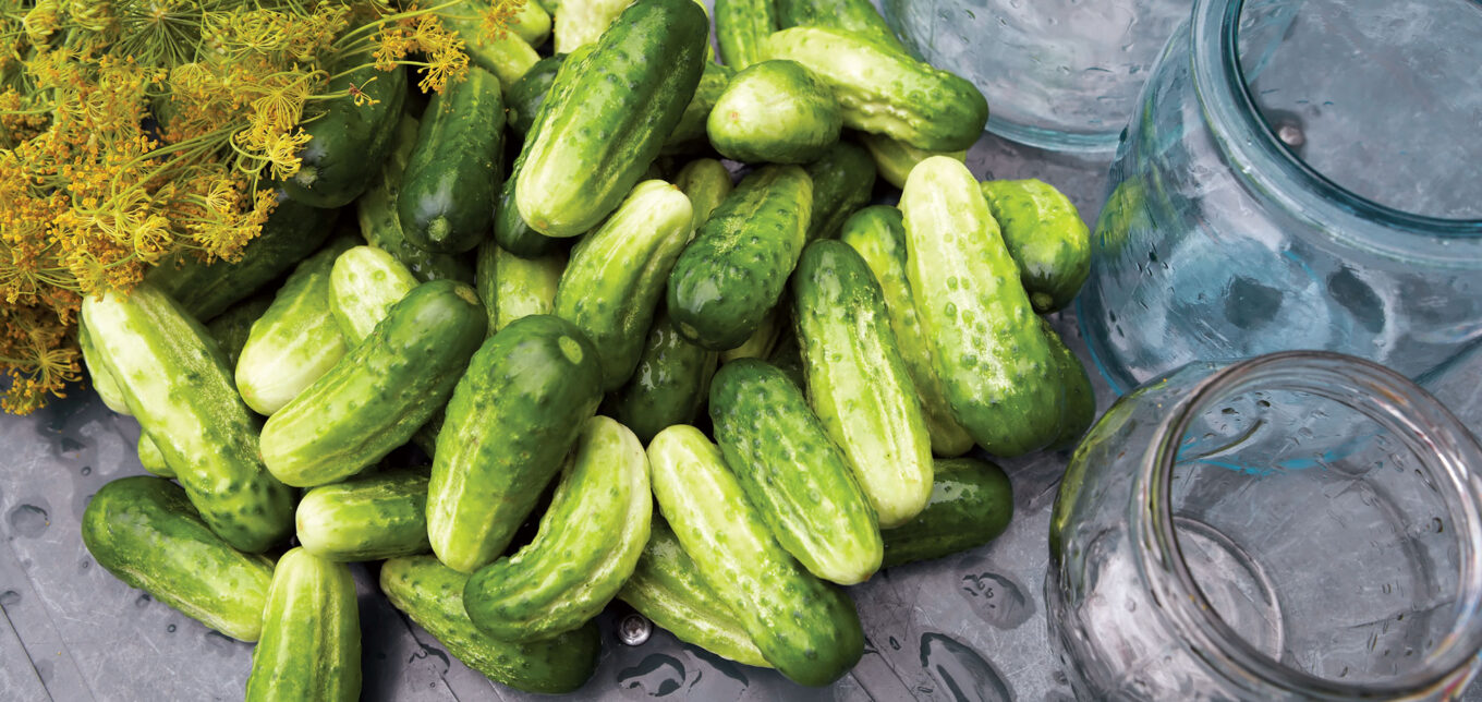Easy Pickling Recipe For Any Occasion – Mother Earth News - Vimarsana News